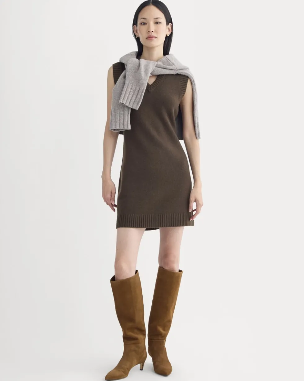 Sweater Mini Dress in Luxe Merino
