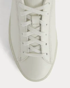 The Day Sneaker